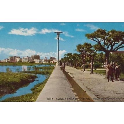 Beira Avenida Andrade Avenue Mozambique African Postcard