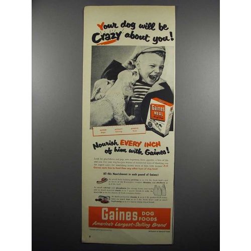 1950 Gaines Meal Dog Food Ad - Your Dog Will be Crazy