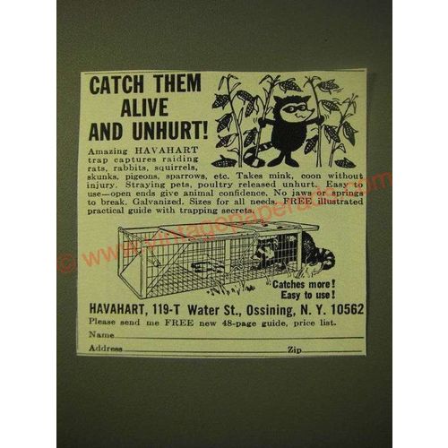 1966 Havahart Trap Ad - Catch them alive and unhurt