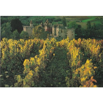 Le Chateau de couches Bourgogne France Postcard unused VGC