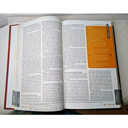 Live NLT (Hardcover) New Living Translation for Teens - Fast Ship!