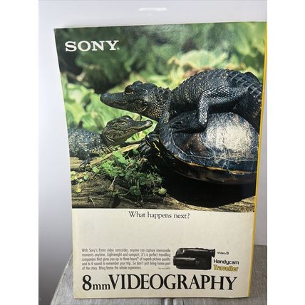 National Geographic Magazine Feb 1992 Eastern Wildlife - Vintage Collectable y
