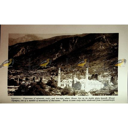 Brusa, Anatolia (Turkey), Book Illustration (Print), c1920