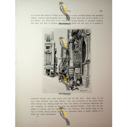 Via Nuova, Genoa, Italy, Book Illustration (Print), 1890