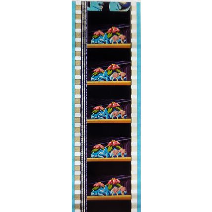 POKEMON - PK ZXB - C059g . 1 STRIP OF 5 - 35MM - FILM CELLS