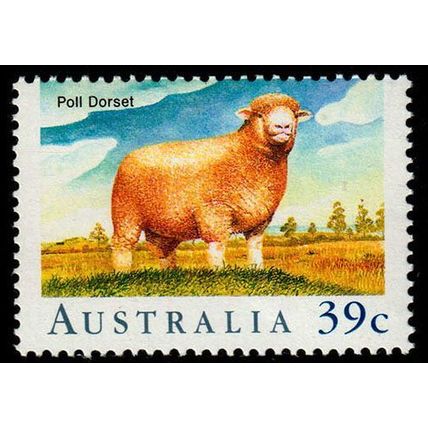 Australia 1989 Sheep Poll Dorset 39c MNH Stamp.