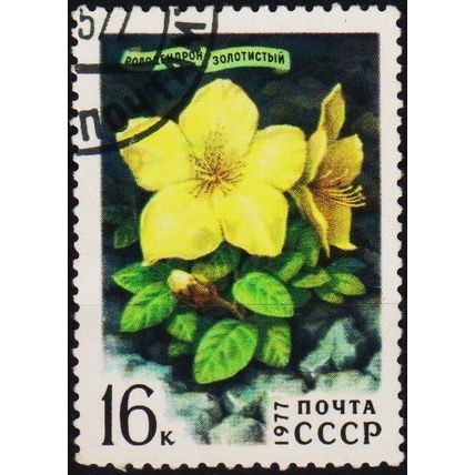 Russia. 1977 16k S.G.4636 Used