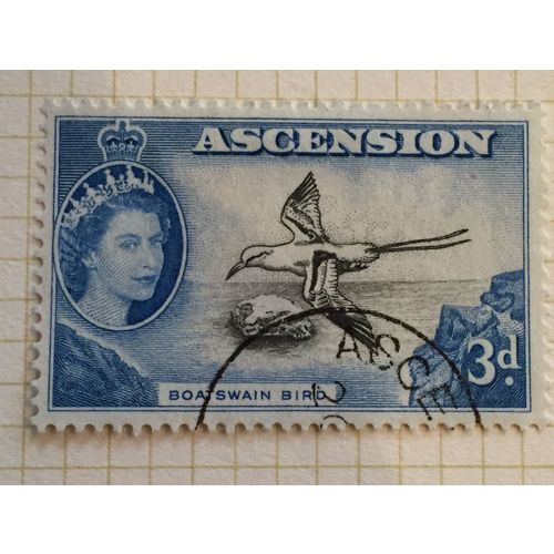 Ascension QEII 1956 3d Black & Blue Used SG 62 Sc 67 stamp white boatswain Bird