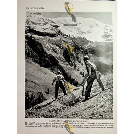 Bernese Swiss Costumes (Swiss Haymaking On Back), Book Illustration, c1920