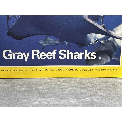 National Geographic Magazine January 1995 Gray Reef Sharks Vintage Collectable b