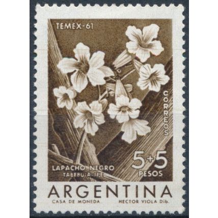International Thematic Stamp Exhibition: 5+5p - Argentina 1960 - MNH - MiNr 757