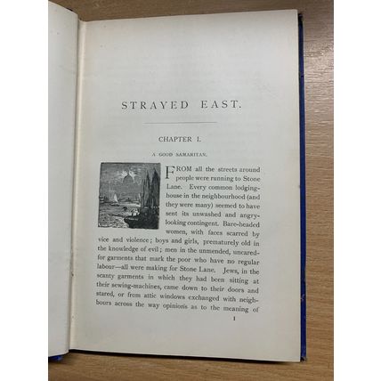 RARE* 1889 REVEREND BUCKLAND STRAYED EAST ILLUSTRATED FICTION ANTIQUE BOOK (P3)