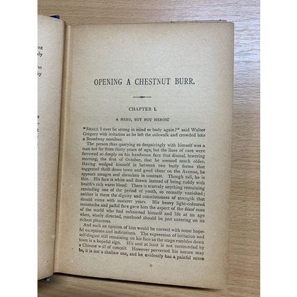 ANTIQUE E P ROE "THE OPENING OF A CHESTNUT BURR" FICTION BOOK (P3)