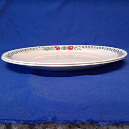Vintage Lot 2 CORELLE By Corning FARM FRESH 10 1/4" DINNER PLATES salad