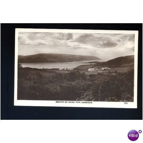 Wales CARDIGAN River Tivy Postcard by Squibbs (129)
