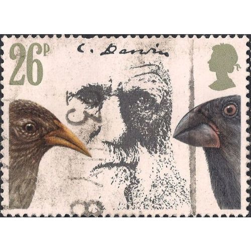 GB, Charles Darwin, Birds, white 1982, 26p, #2