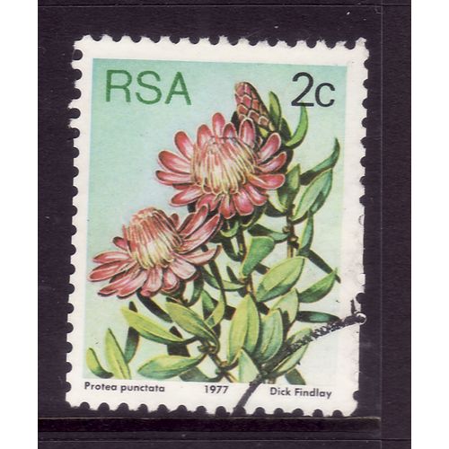 SOUTH AFRICA 1977 SUCCULENTS 2c P PUNCTATA 415 FINE USED#