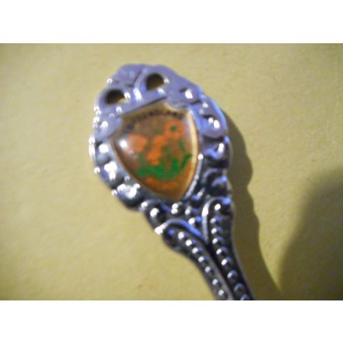 Newfoundland Pitcher Plant Collector Souvenir Teaspoon,Tea Spoon