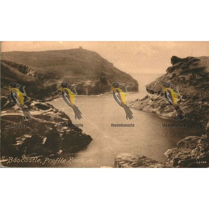 Boscastle, Profile Rock, Cornwall, 33608 Frith's Postcard