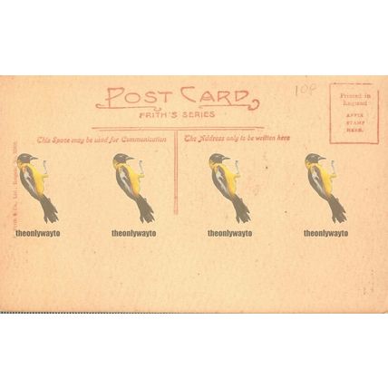 Boscastle, Profile Rock, Cornwall, 33608 Frith's Postcard