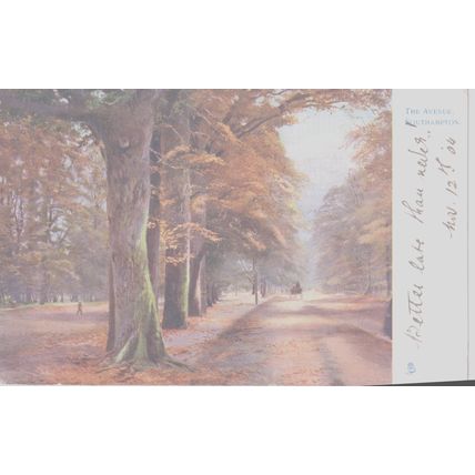 The Avenue Southampton Oilette 1653 Hampshire Postcard (QHAM305)