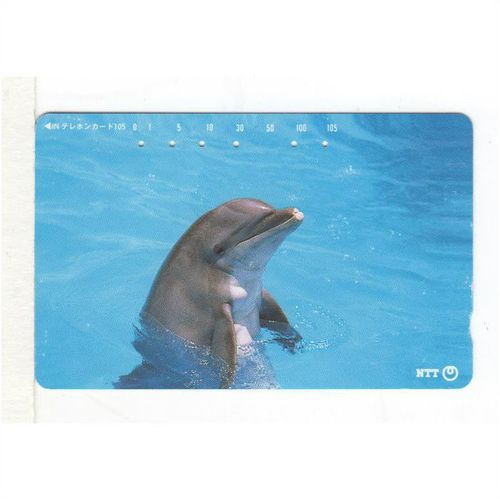 PHONE CARD - JAPAN - DOLPHIN