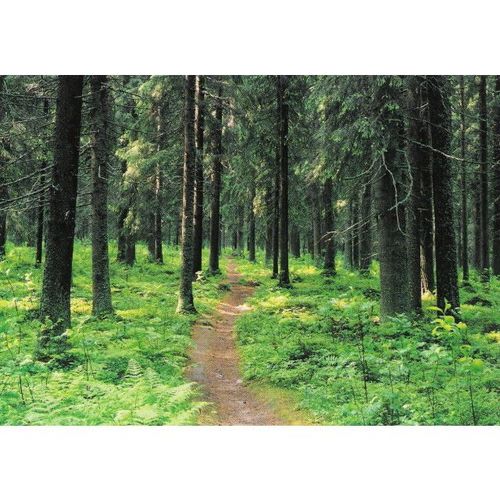 07627: 'I went to the Forest and the Holy Places ...'