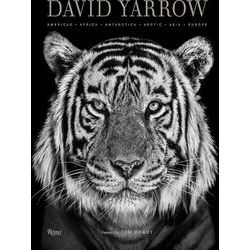 David Yarrow Photography Americas Africa Antarctica Arctic Asia Europe