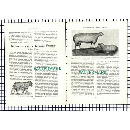 (8090) John Ellman Hartfield Farmer - 1953 Article