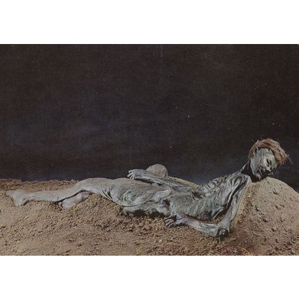Jutland Roman Dead Corpse Bog Body Denmark Postcard
