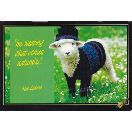 New Zealand Sheep Farming Postcard posted 2005 creased