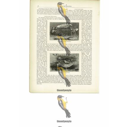 Pump-Fish & Fishermen's Bait, Florida, USA, Book Illustration (Print), c1880