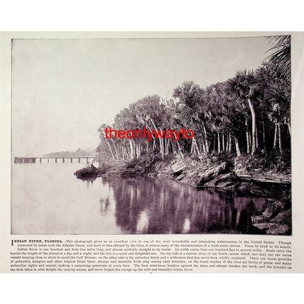 Indian River, Florida, USA And Hall Of Marbles, Naples, Book Illustration, 1896