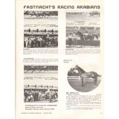fastnachts racing arabians 1972 gydin shahzal algorab horse vintage ad