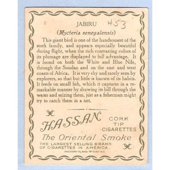Tobacco Card ~ Company: American Tobacco Company Brand: Hassan Cork Tip Ci~53