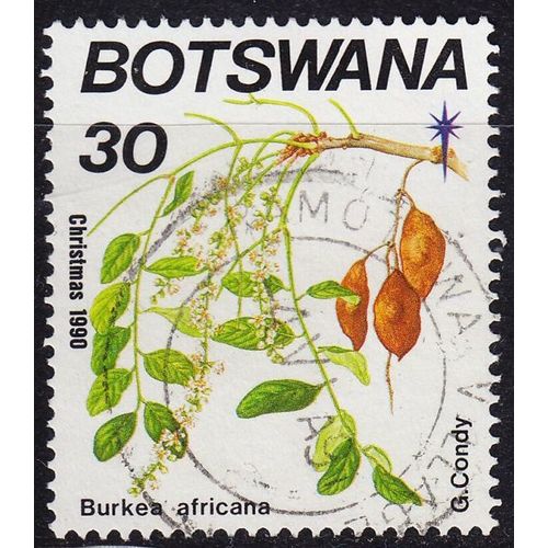 BOTSWANA [1990] MiNr 0484 ( O/used ) Pflanzen