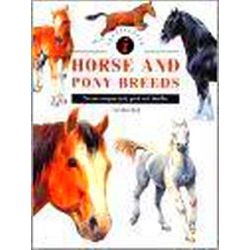 Identifying Guide Identifying Horse Pony Breeds