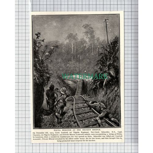 C5127) Lt Luxford 1st Nigeria Reg Schneider Charnley Minoni Cameroon - 1916 Clip