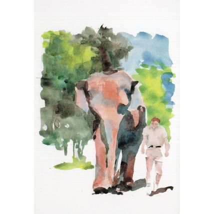 Pink Elephant at San Diego Zoo Stunning Sketch Painting Postcard