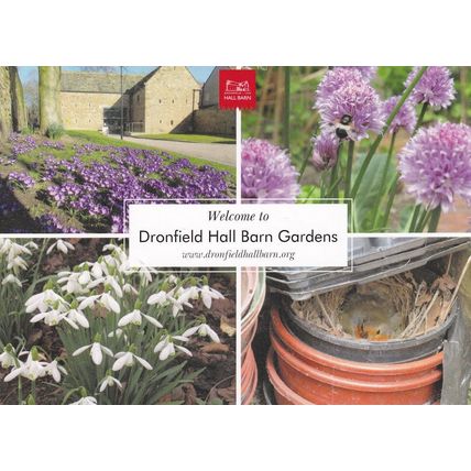Dronfield Hall Barn Gardens Derby Advertising Postcard