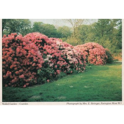 Walled Garden Cuerden Lancashire Postcard