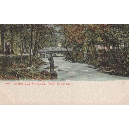 Gruss Aus Wildbad Partie German Rare 1904 Colour Old Postcard
