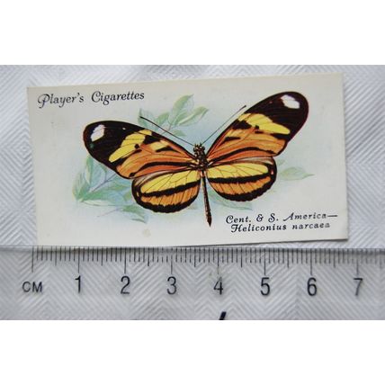 1932 John Player & Sons Butterflies No. 29 South America, Heliconius narcaea