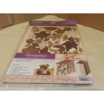 Hunkydory Cards in a Box Kit - Autumn Surprise - NEW