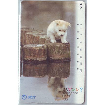 Puppy Looking At Own Reflection Japan NTT Phone Card