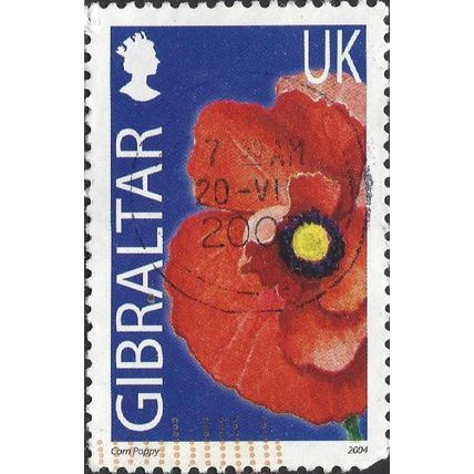 GIBRALTAR, FLOWER, Corn poppy, Papaver rhoeas, blue 2004, UK