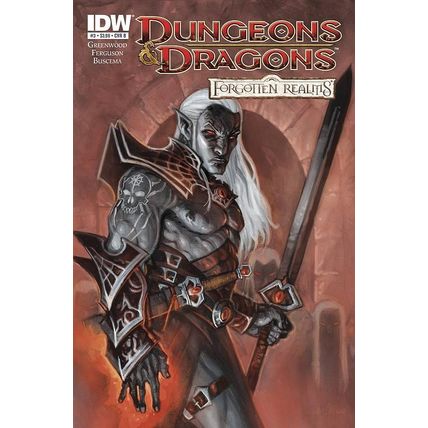 Dungeons & Dragons: Forgotten Realms (Vol 1) # 003 NM CoverB MODERN AGE COMICS