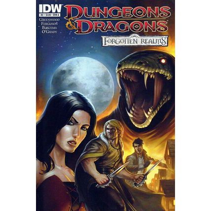 Dungeons & Dragons: Forgotten Realms (Vol 1) # 002 NM (CvrA) MODERN AGE COMICS