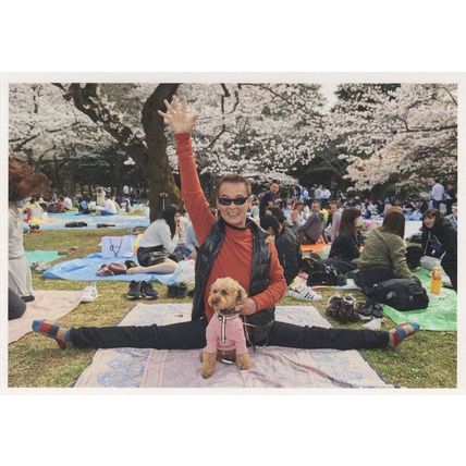 High Five Leg Split Dog In Pink Tracksuit London Picnic Photo Award Postcard
