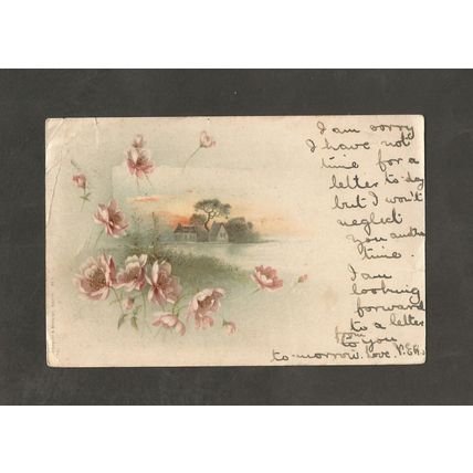 Genealogy Miss Busfield Dunberry Hotel Wootten Courtney Dunster Somerset 1904
